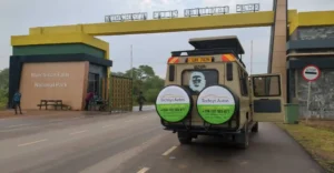 How to Get to Murchison Falls Park on a Self-Drive Safari